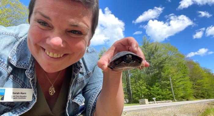 a smiling naturalist holds a spotted turtle moved from road