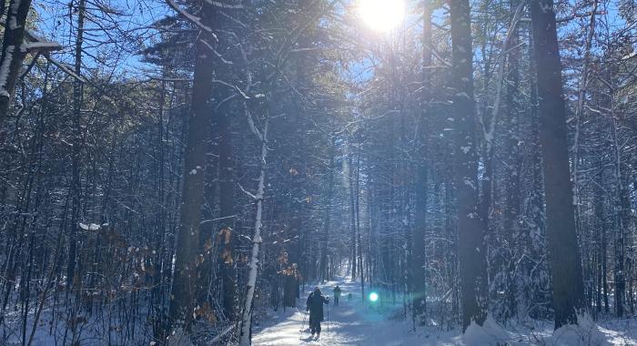 A group of skiers make their way over an ungroomed snowy trial