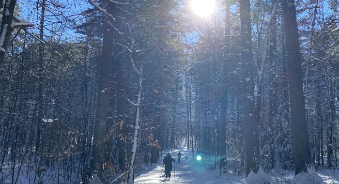 A group of skiers make their way over an ungroomed snowy trial 