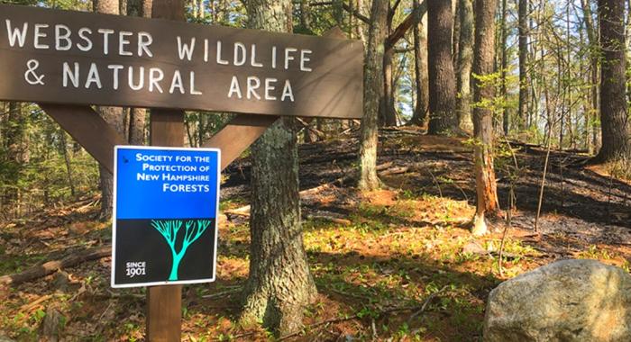 Although it is difficult to see with the shadows, the brush fire came quite close to the entrance sign at Webster Wildlife & Natural Area. 