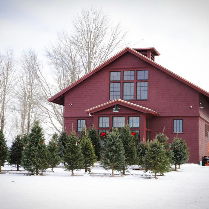 The Rocks' Carriage Barn during Christmas tree season.