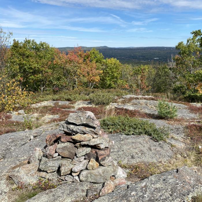 Rock cairn on summit of Chesley Mountain, Bean Forest