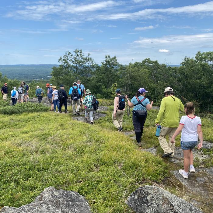 Group hike on Bean Forest
