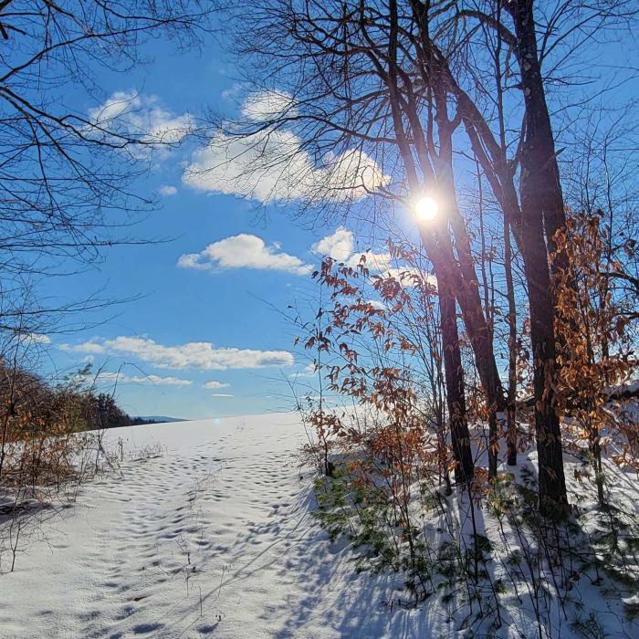 Sun shining over snowy forested hill on the edge of a field