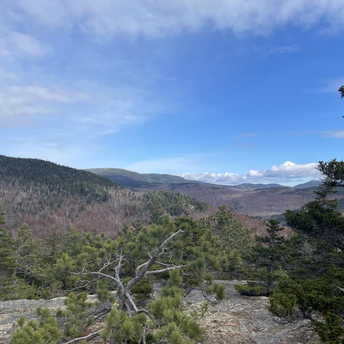 View from Bald Cap Peak