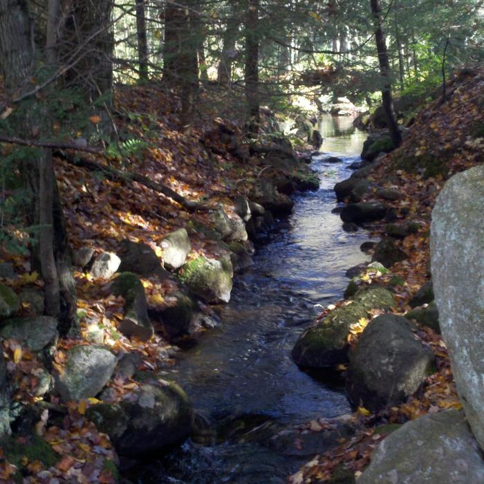 Otter Brook