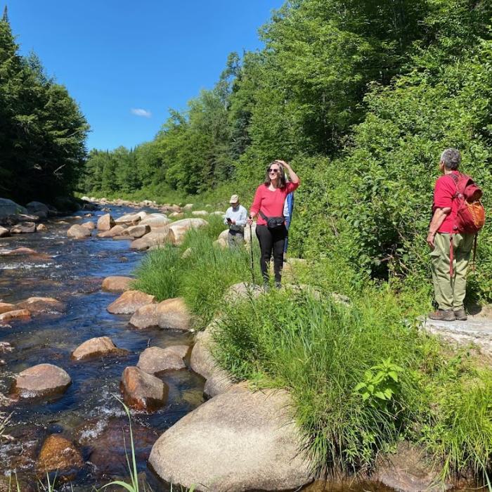 Visitors looked at the view by the Ammonoosuc River.