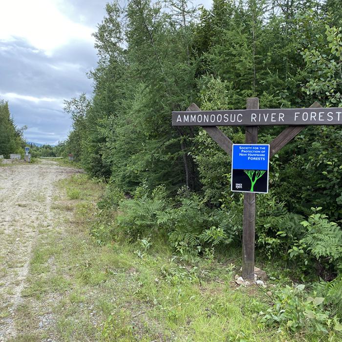 The sign at the access road at Ammonoosuc River Forest. (Photo: Carrie Deegan)