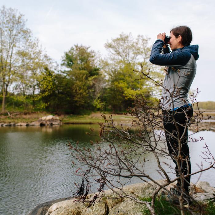 Creek Farm birding in Portsmouth