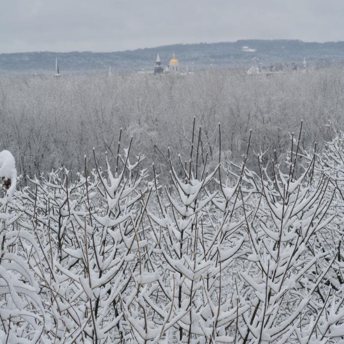 A view of the state capitol's dome in Concord from a snow-covered floodplain.
