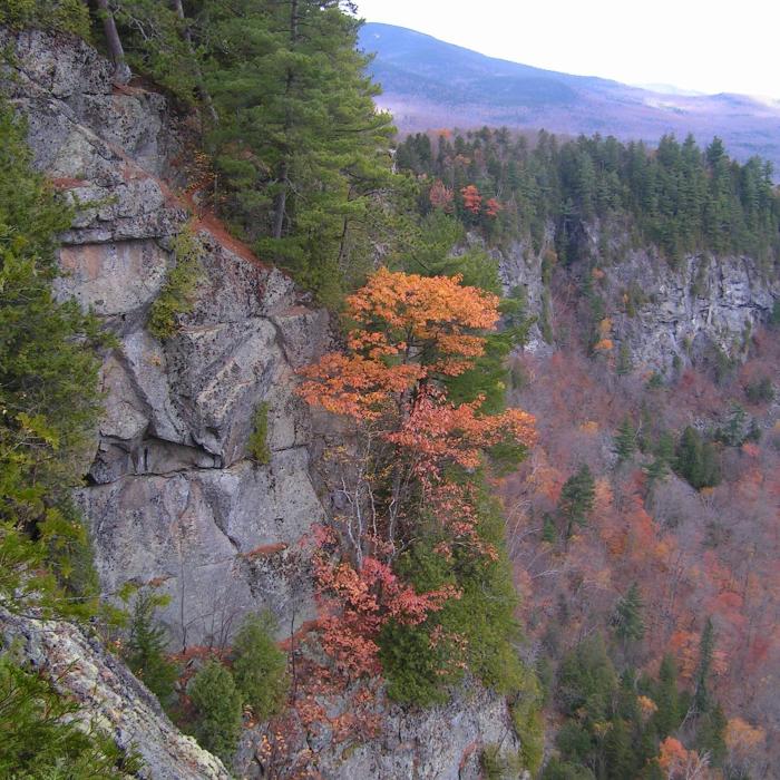 A rocky cliff at Kauffman forest.