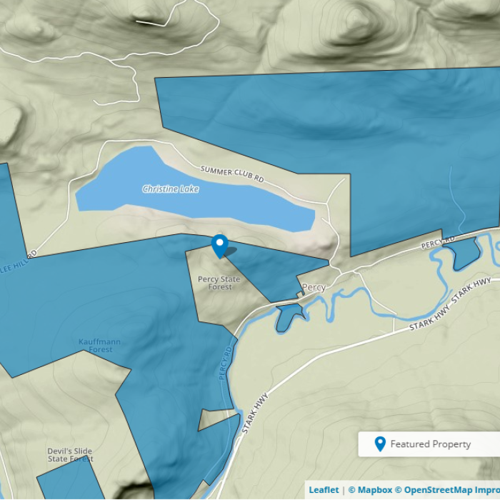 A map of Kauffman forest with a closer view.