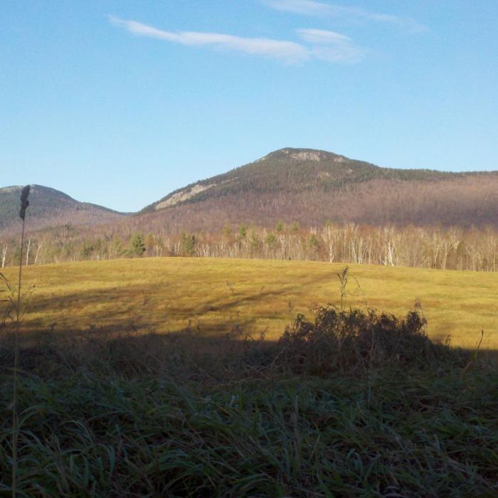 A mountain peak with a field in the foreground.