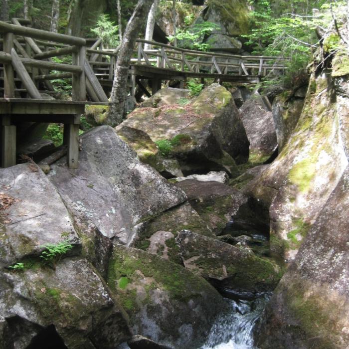 A boardwalk looking down at Paradise Falls.