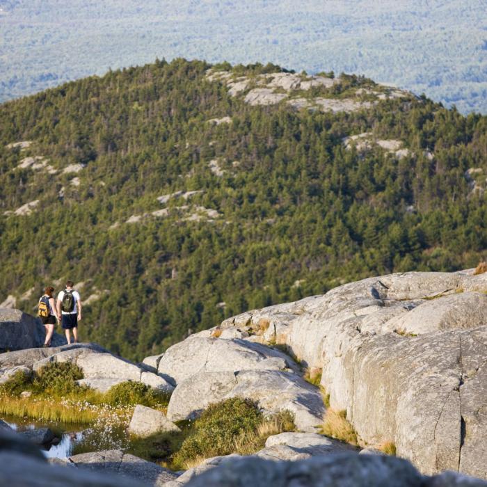 The rocky summit of Mount Monadnock.