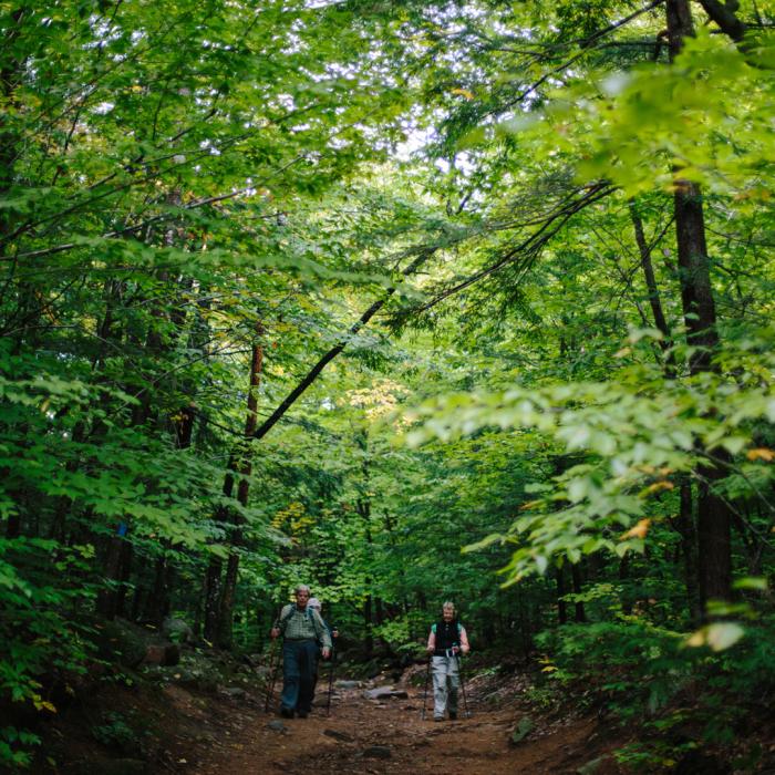 Hiking the Brook Trail at Mount Major in summer