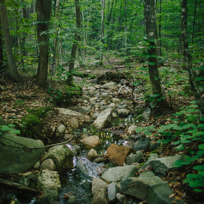 Brook along the trail at Mount Major