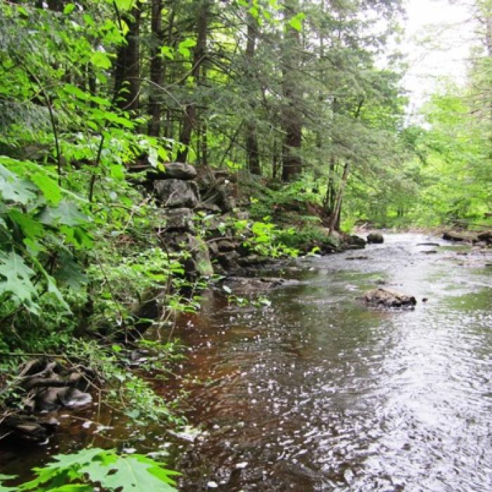 The Oyster River at Powder Major's Forest