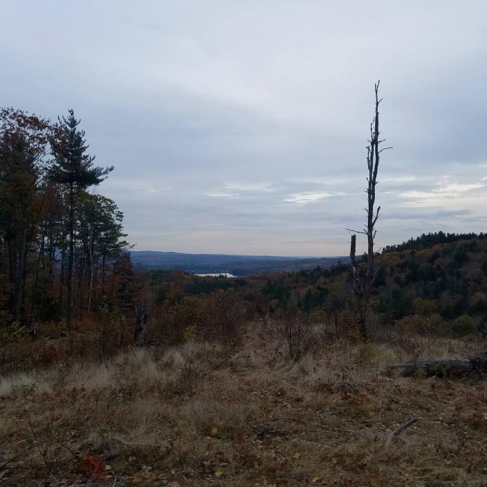 open grass area overlooking forested hills