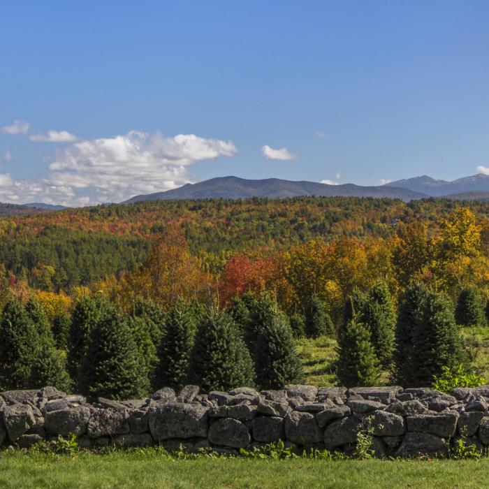 Autumn panorama from The Rocks.