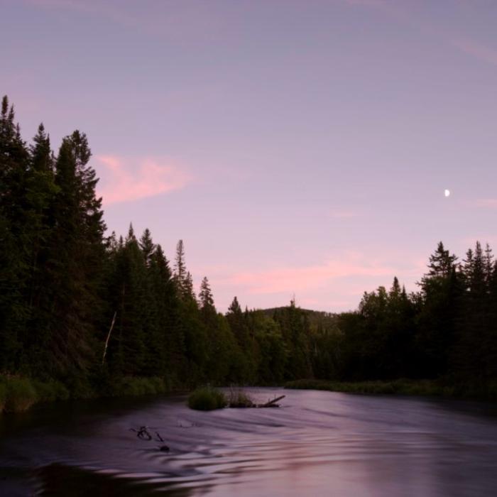 A purple sunset on water in Washburn Forest.