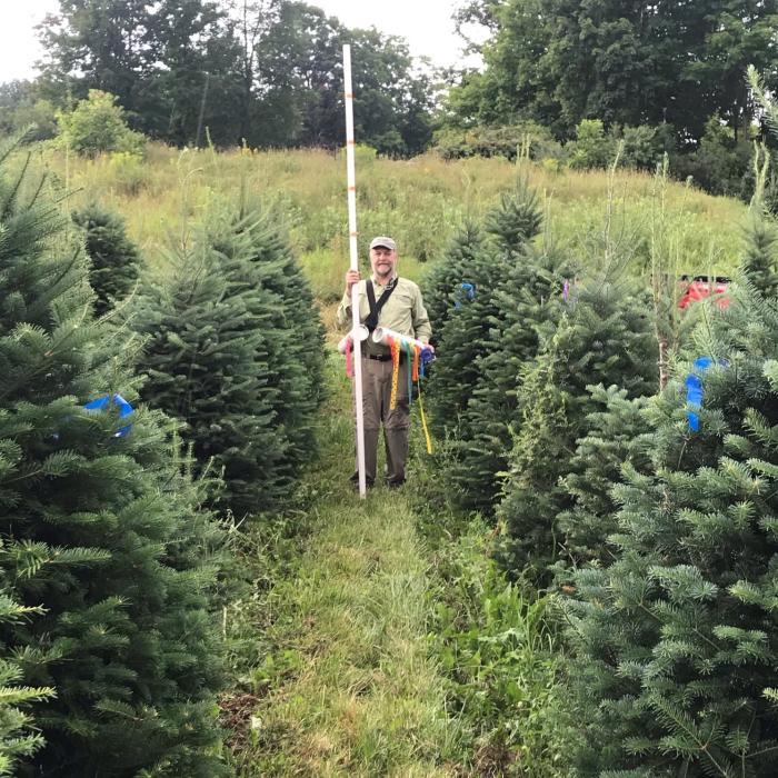 Rocks Director Nigel Manley stands in the middle of a row of trees.