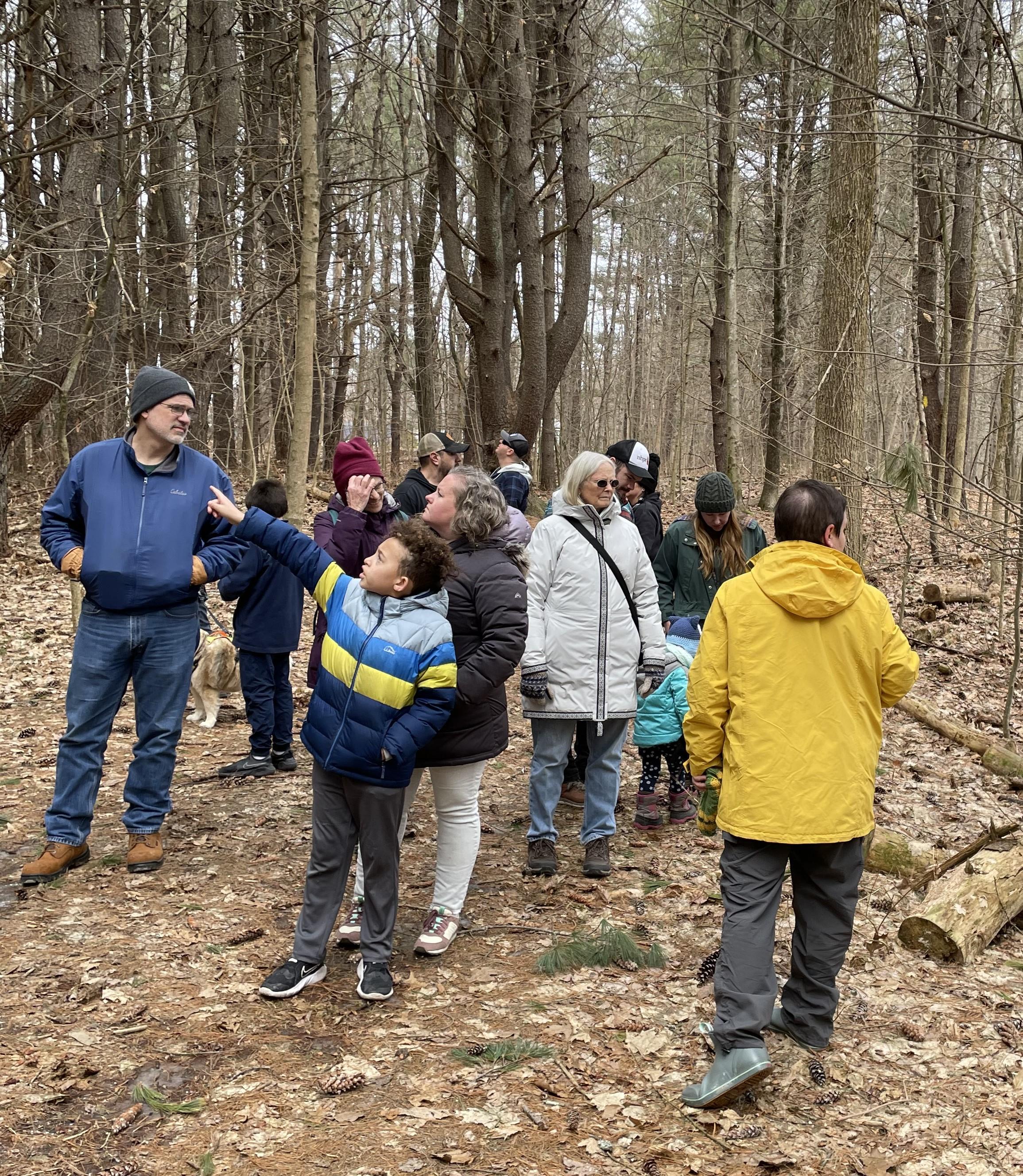 Participants walk the floodplain in search of signs of beaver activity.