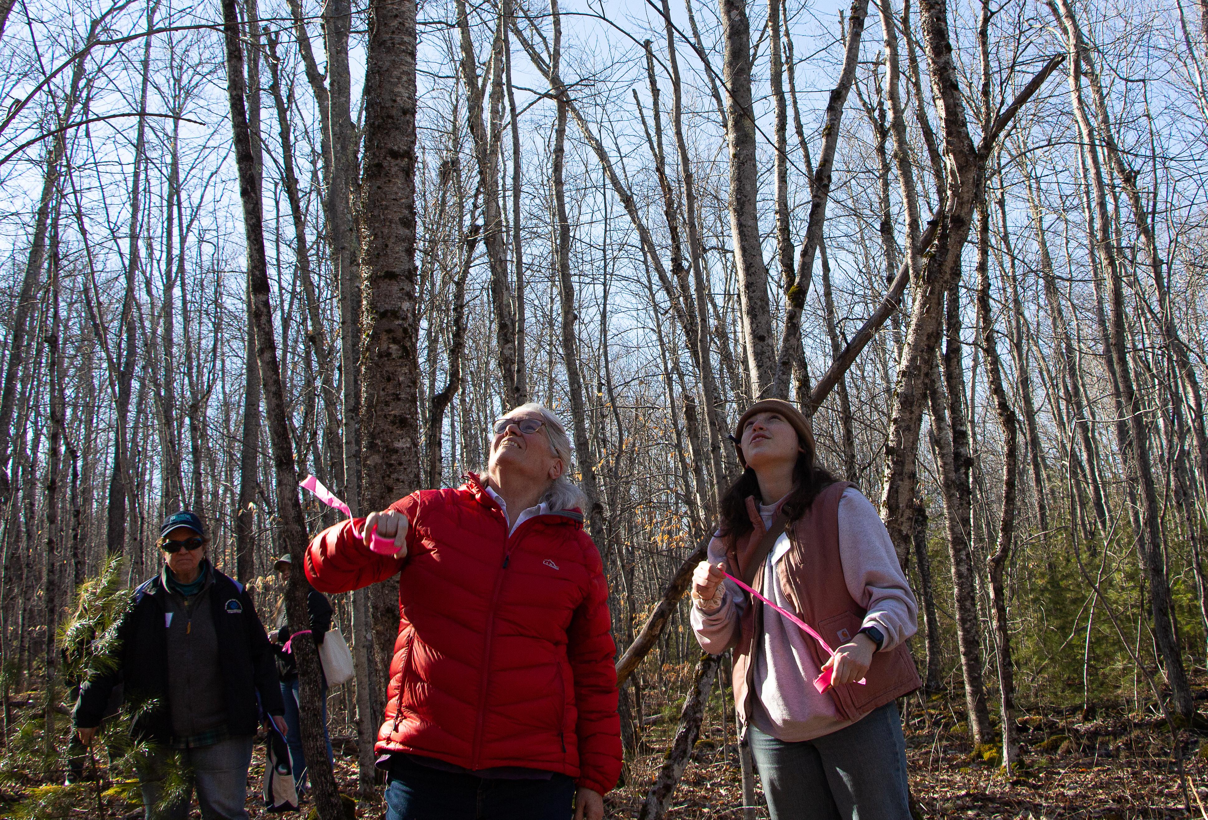 An older and younger woman hold pink flagging tape and look into the forest canopy.