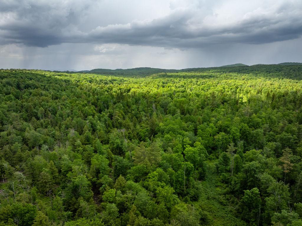 Jennings Forest as seen from above in spring with thunder clouds.