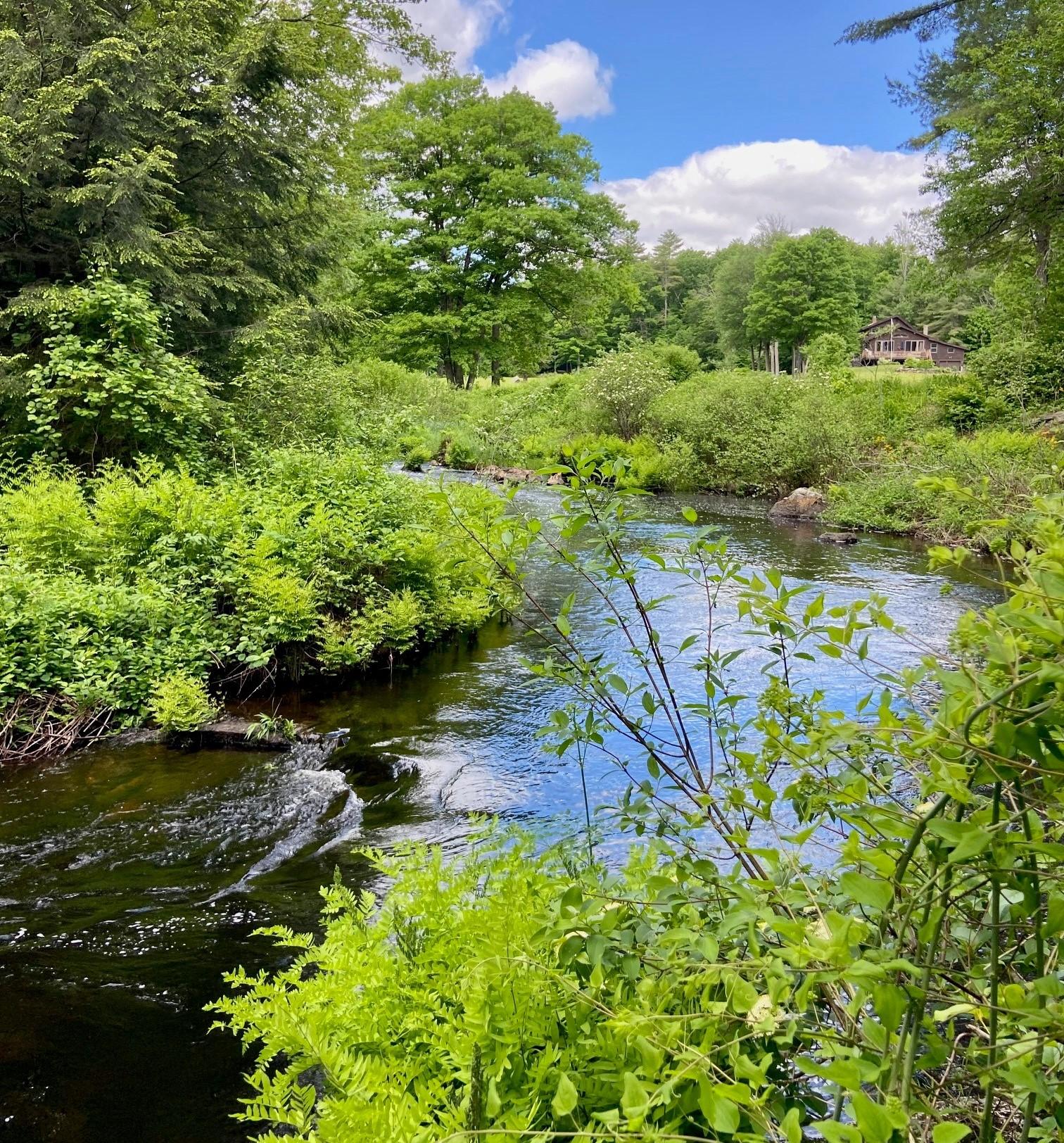 A view of Lane River in spring as it flows through South Sutton.