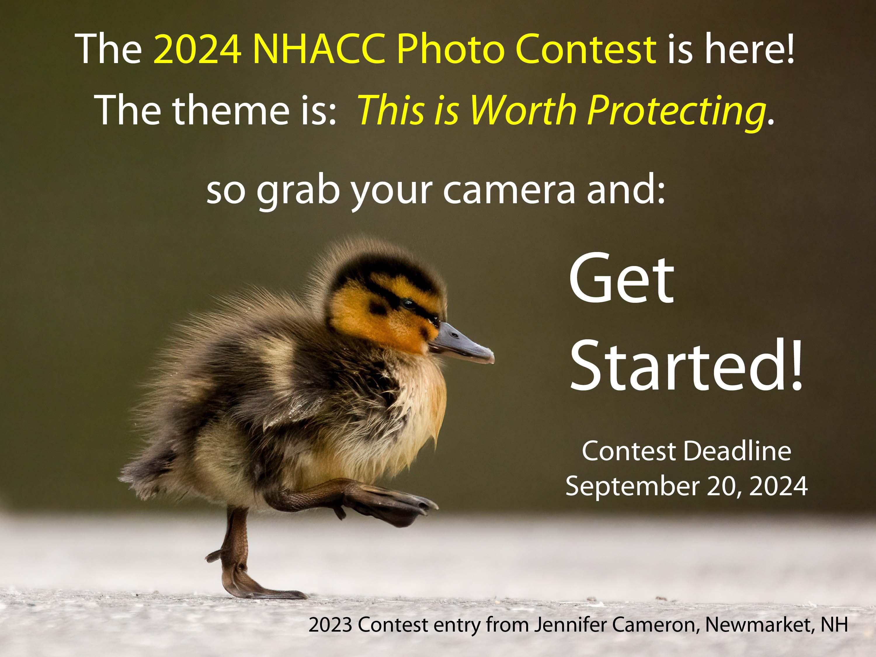 A photo of a duckling that says "Grab your camera and get started!"