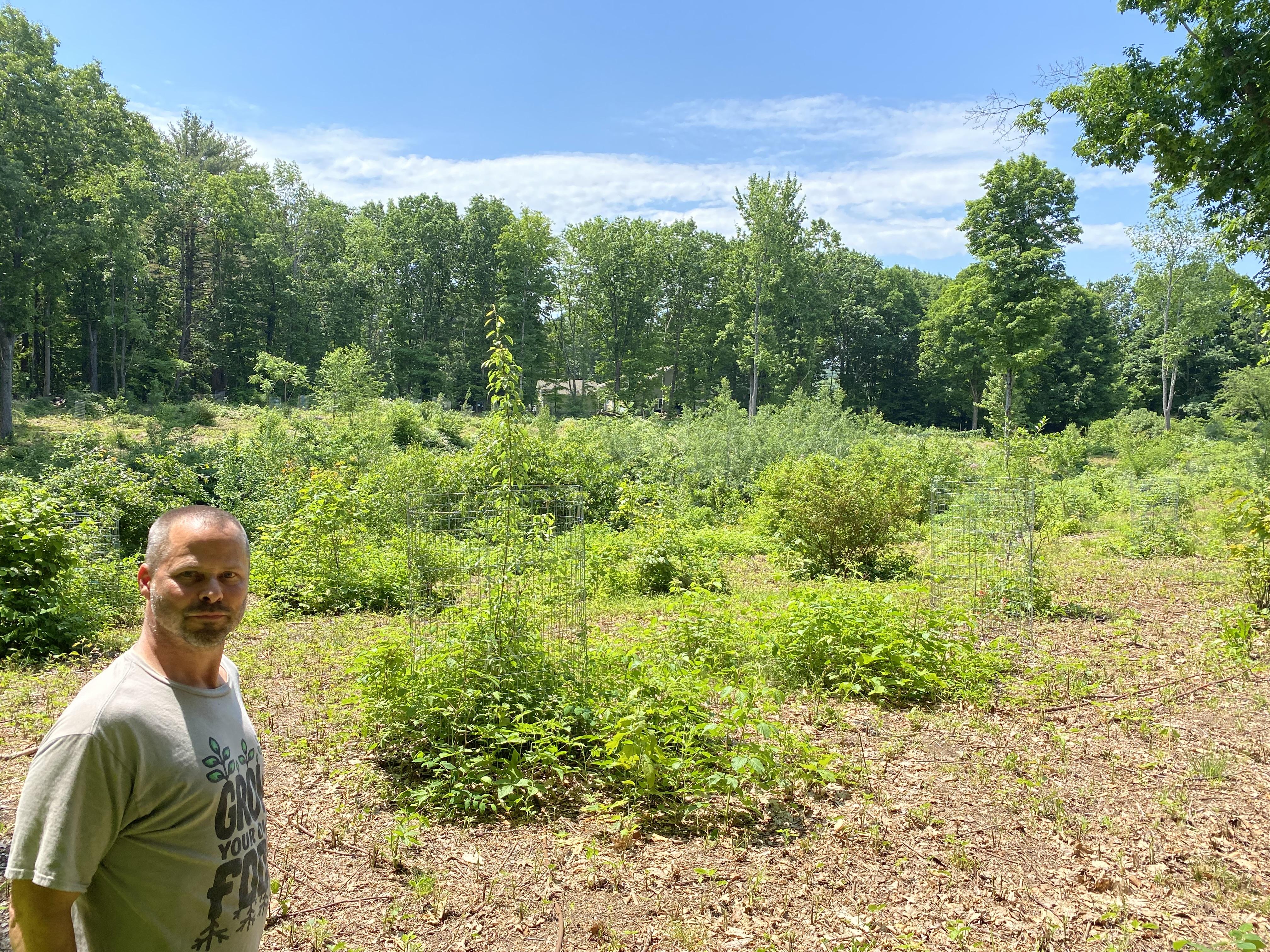Man in grey t shirt stands in front of sunny clearing with several tree and shrub saplings