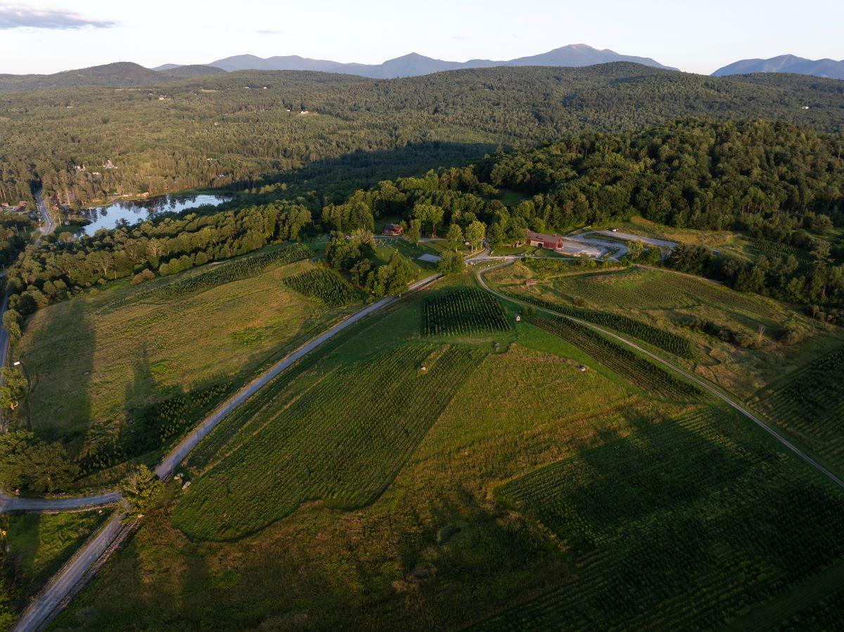 A bird's eye view of the property.