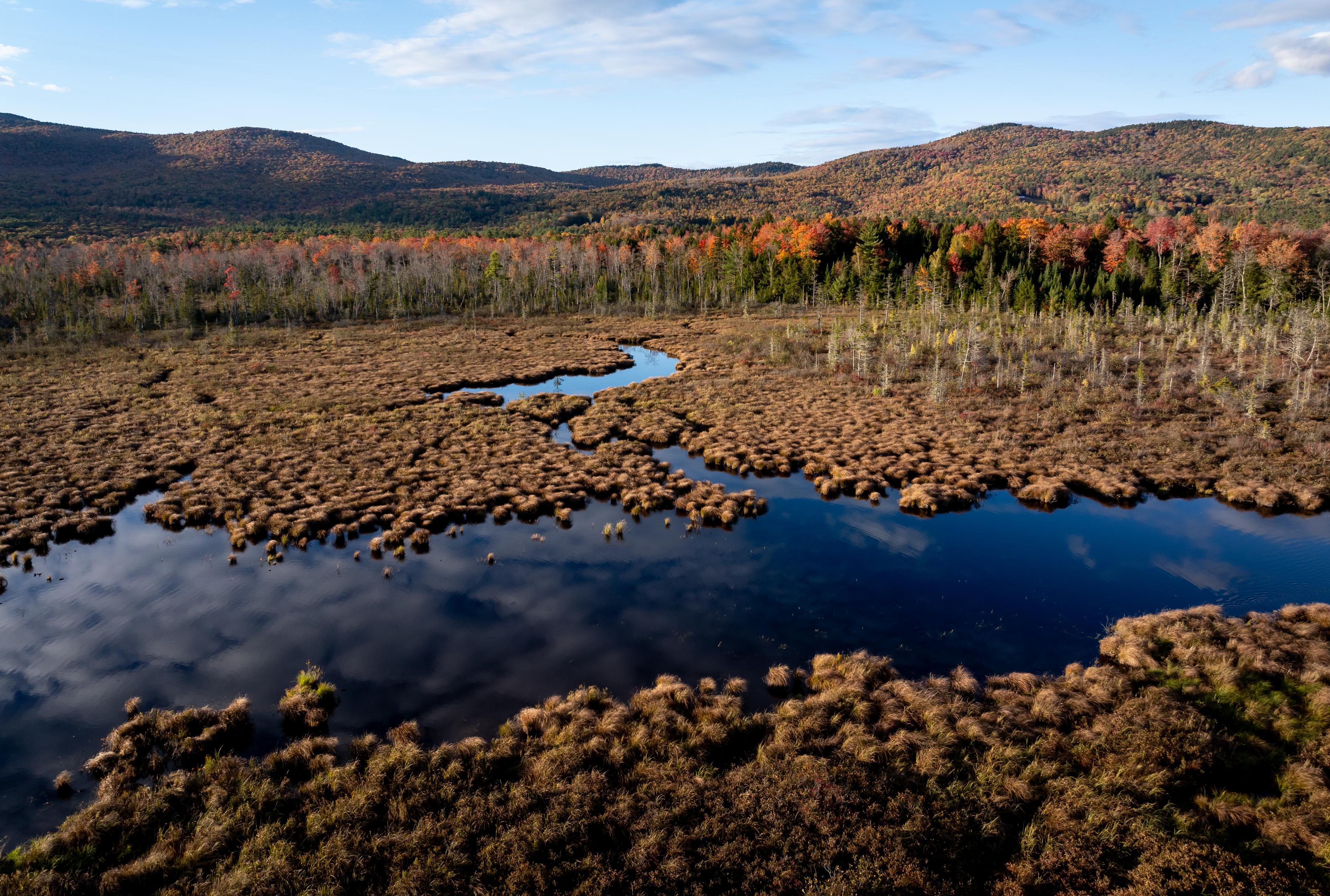 Campton Bog as seen from above.