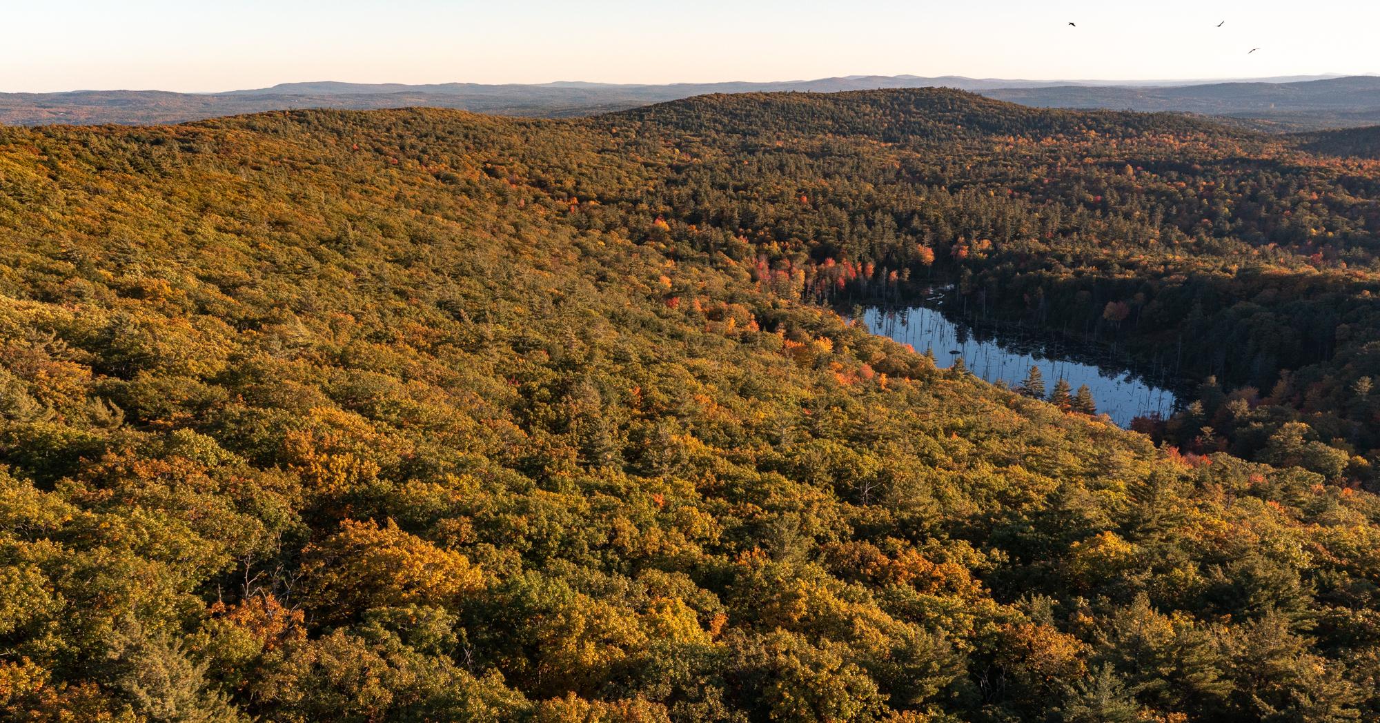 Morse Preserve addition as seen from above.