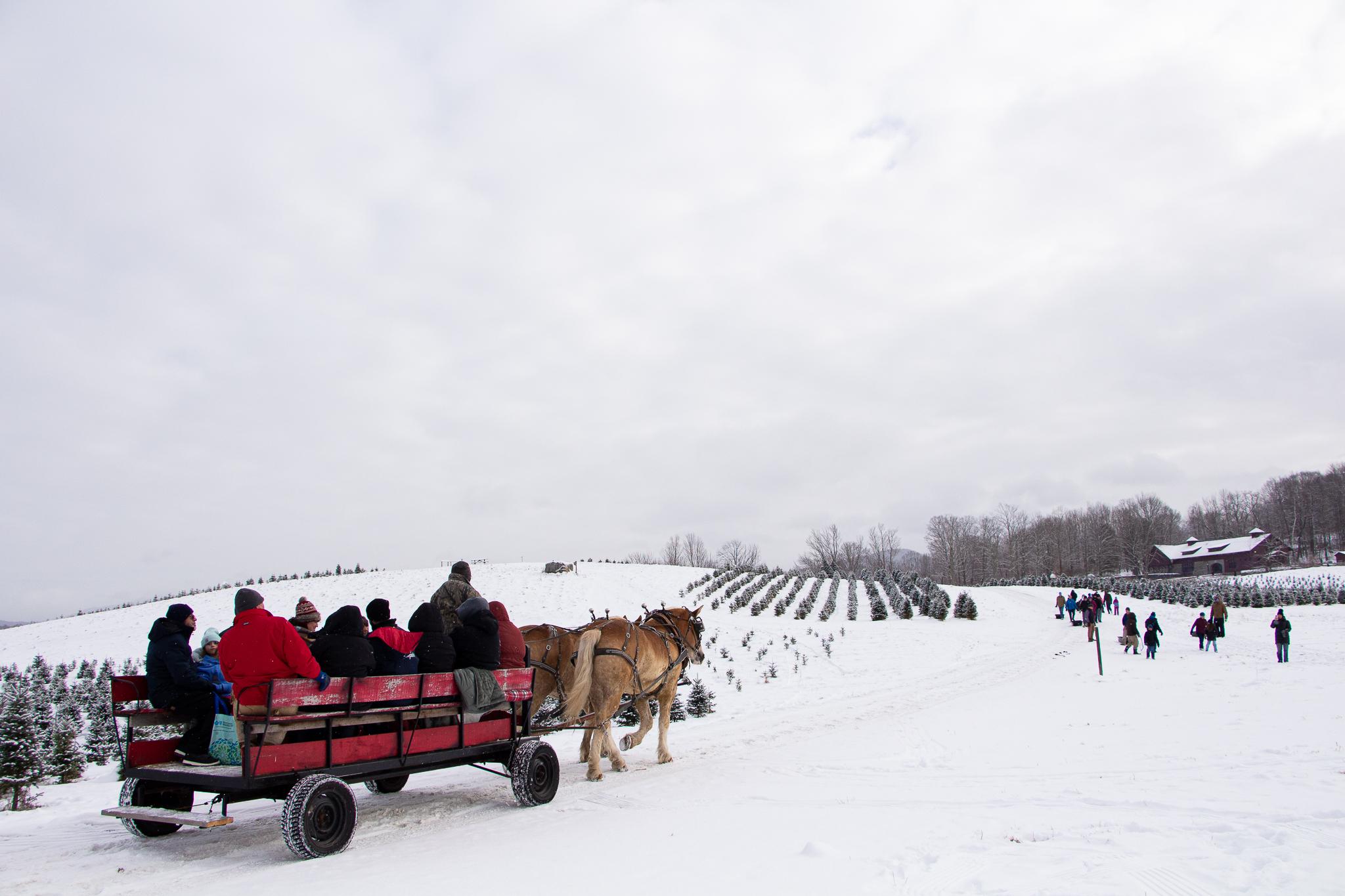 A red wagon pulled by two horses moving across a snow covered road towards a barn.