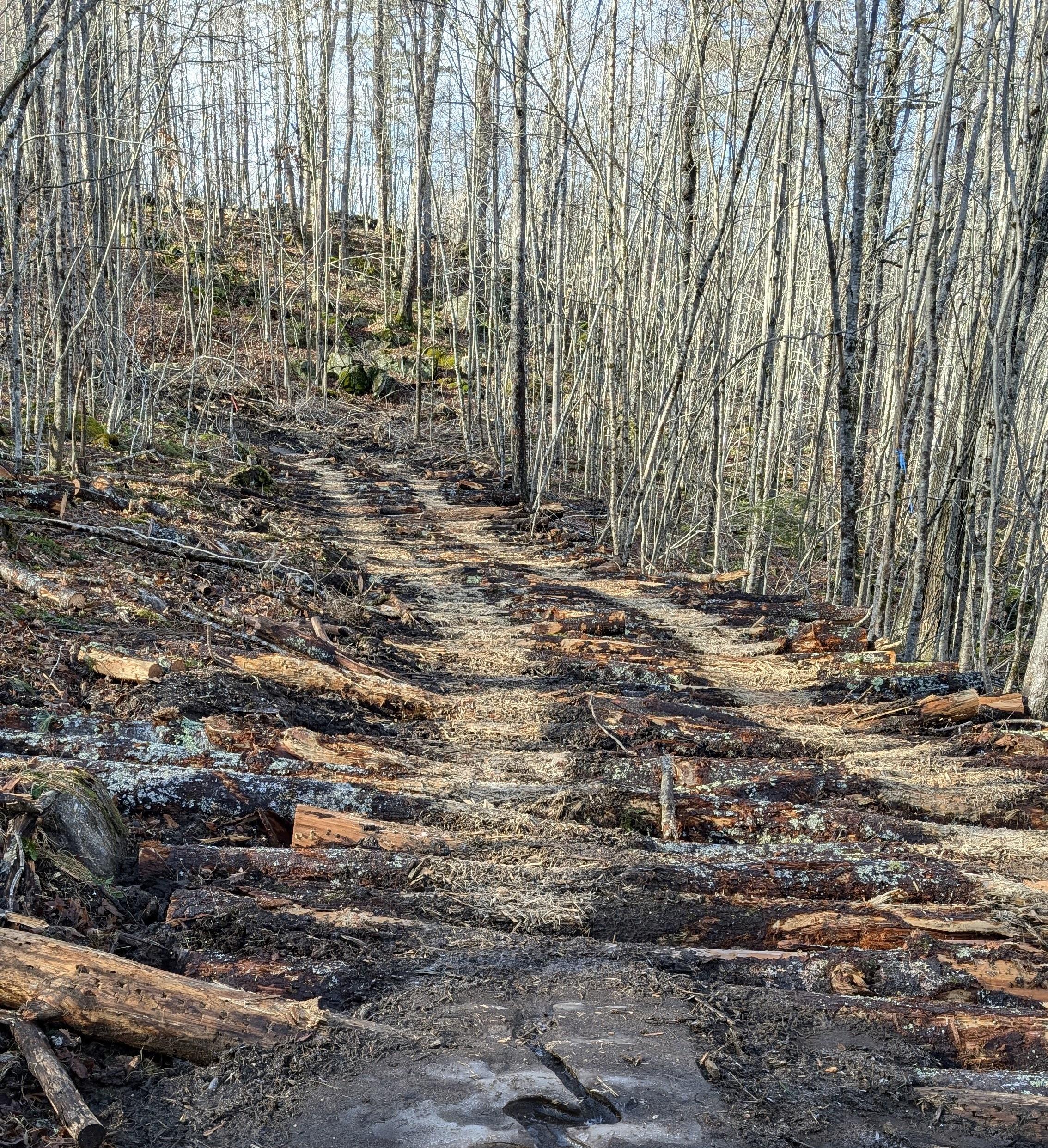A logging track with logs laid horizontally across the path.