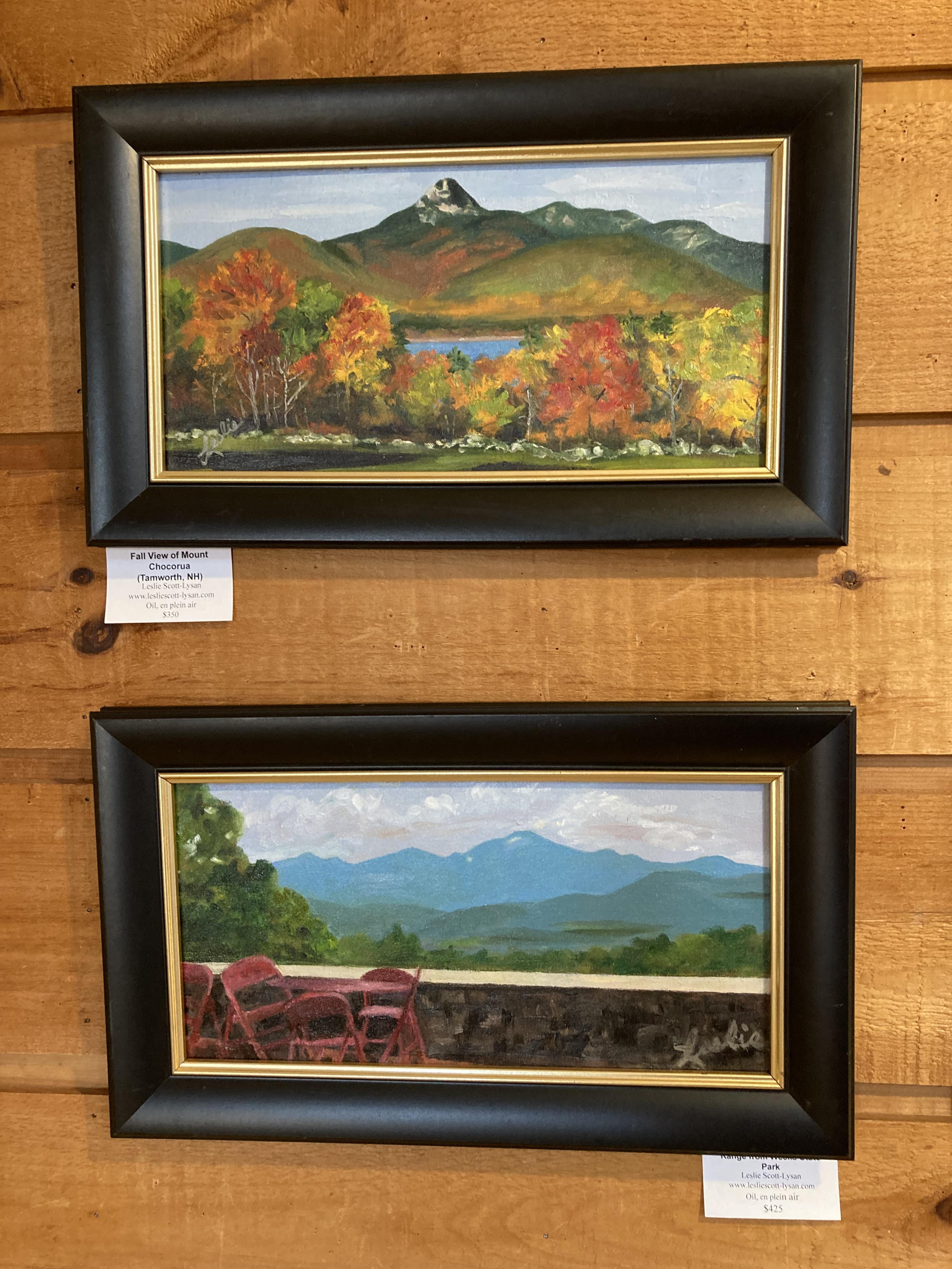 Two framed oil paintings of mountain scenes on a wood wall.
