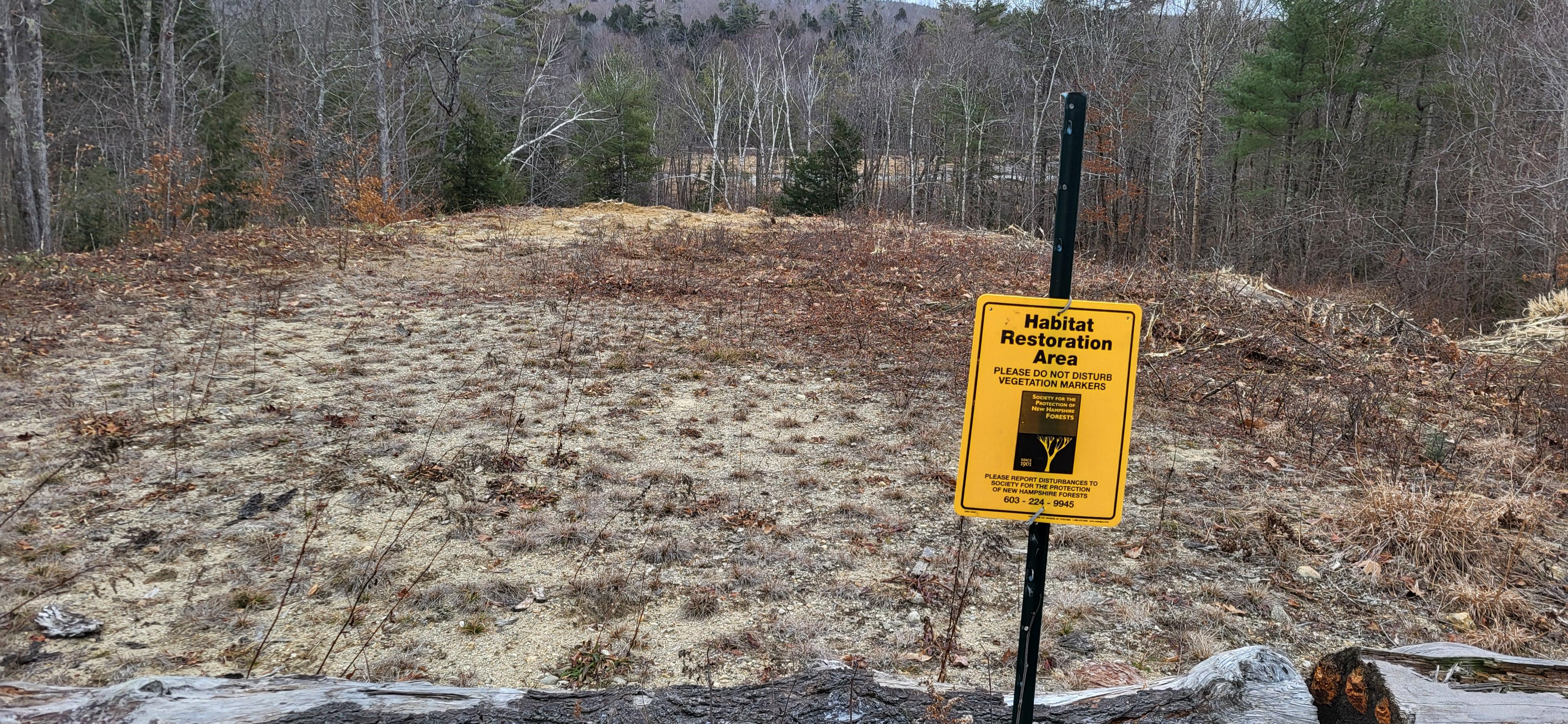 Yellow sign reads "habitat restoration area" in front of meadowed clearing