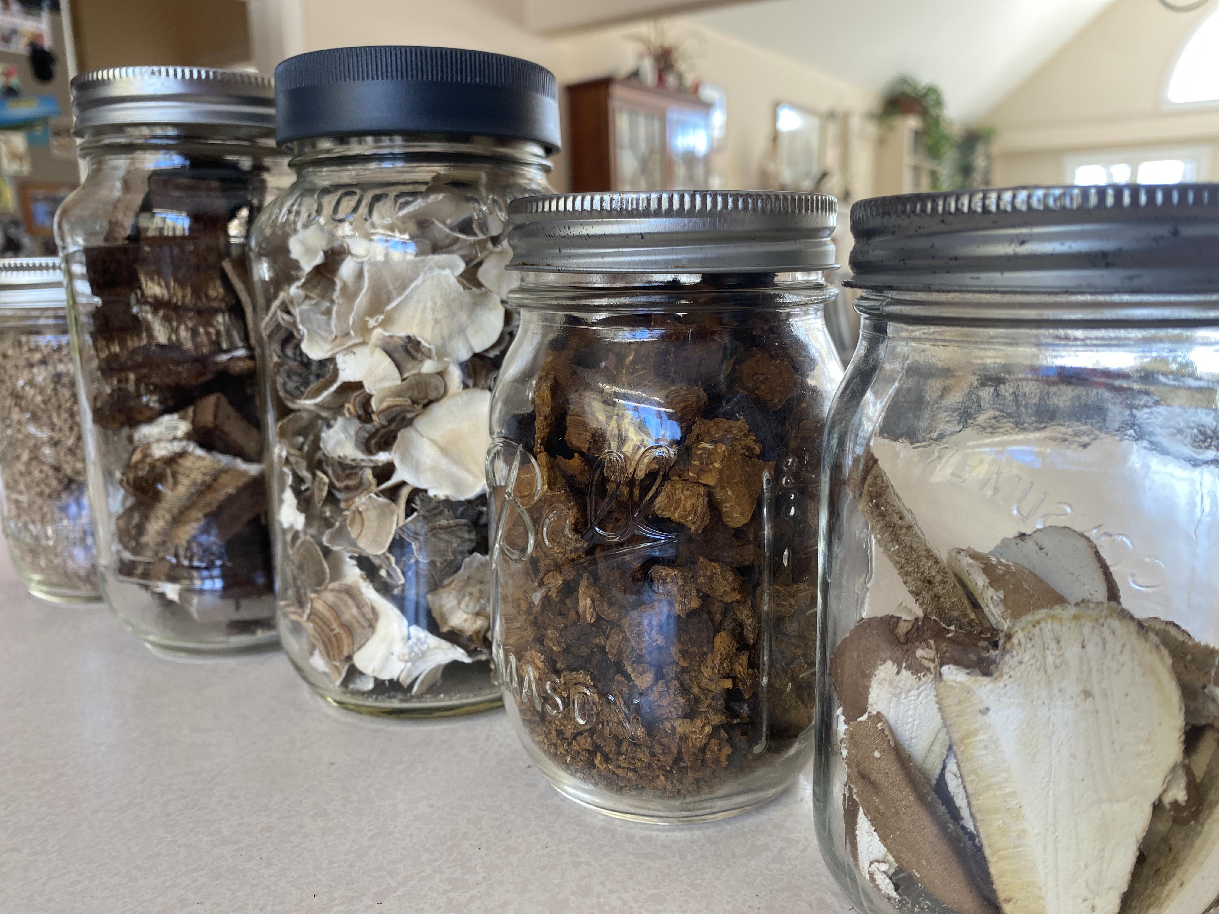 Four mason jars filled with a variety of dried mushrooms