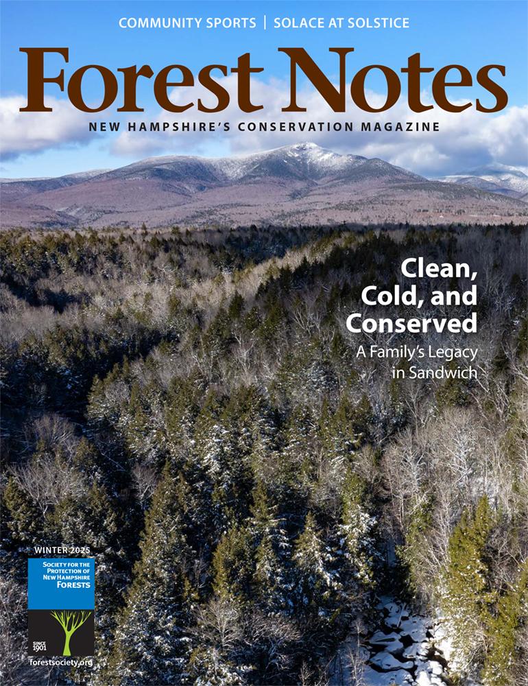 Forest Notes, Winter 2025 Cover