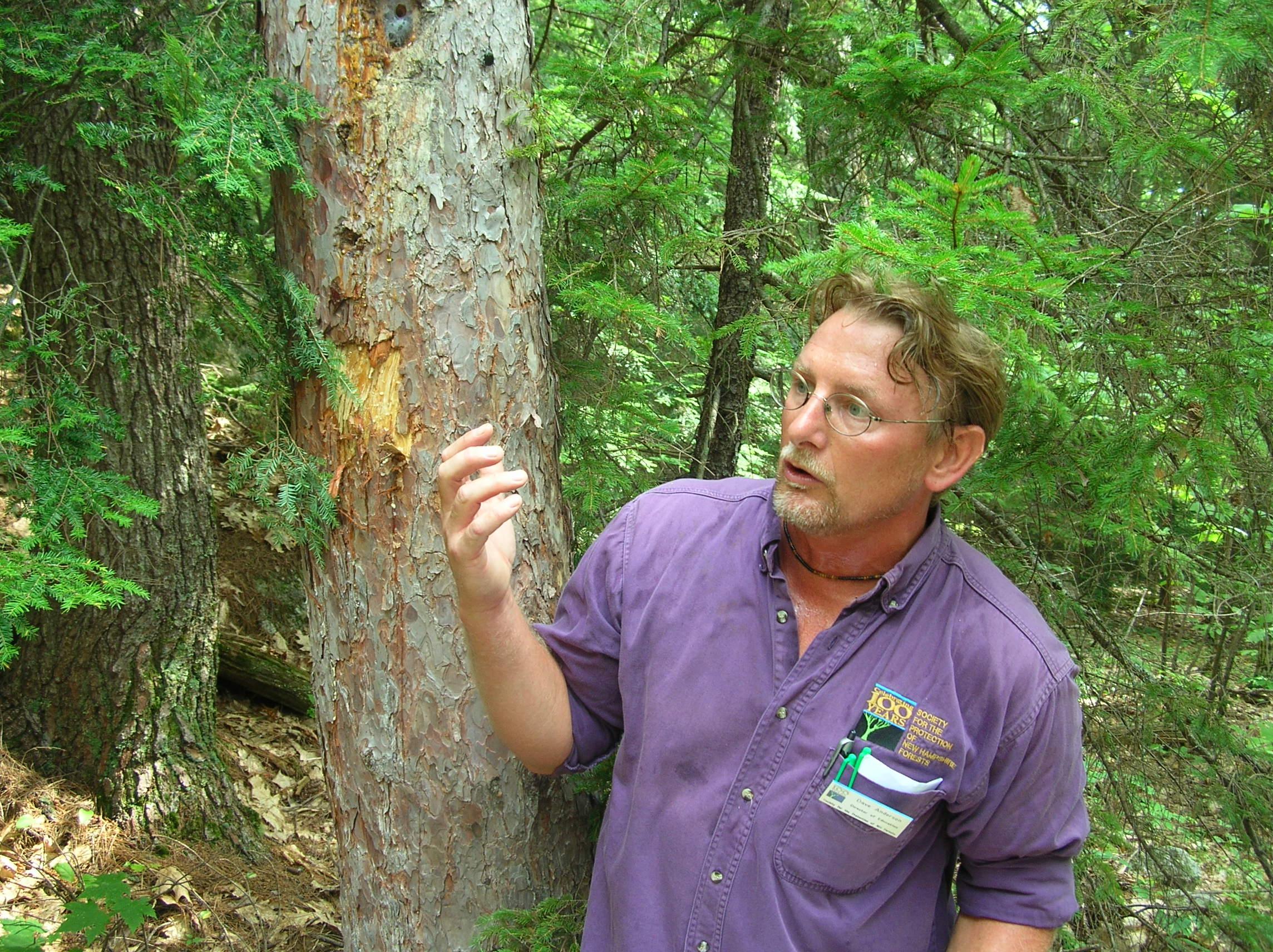 Dave explaining bear scent markers
