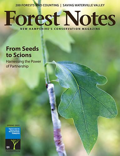 Forest Notes Spring 2025 Cover