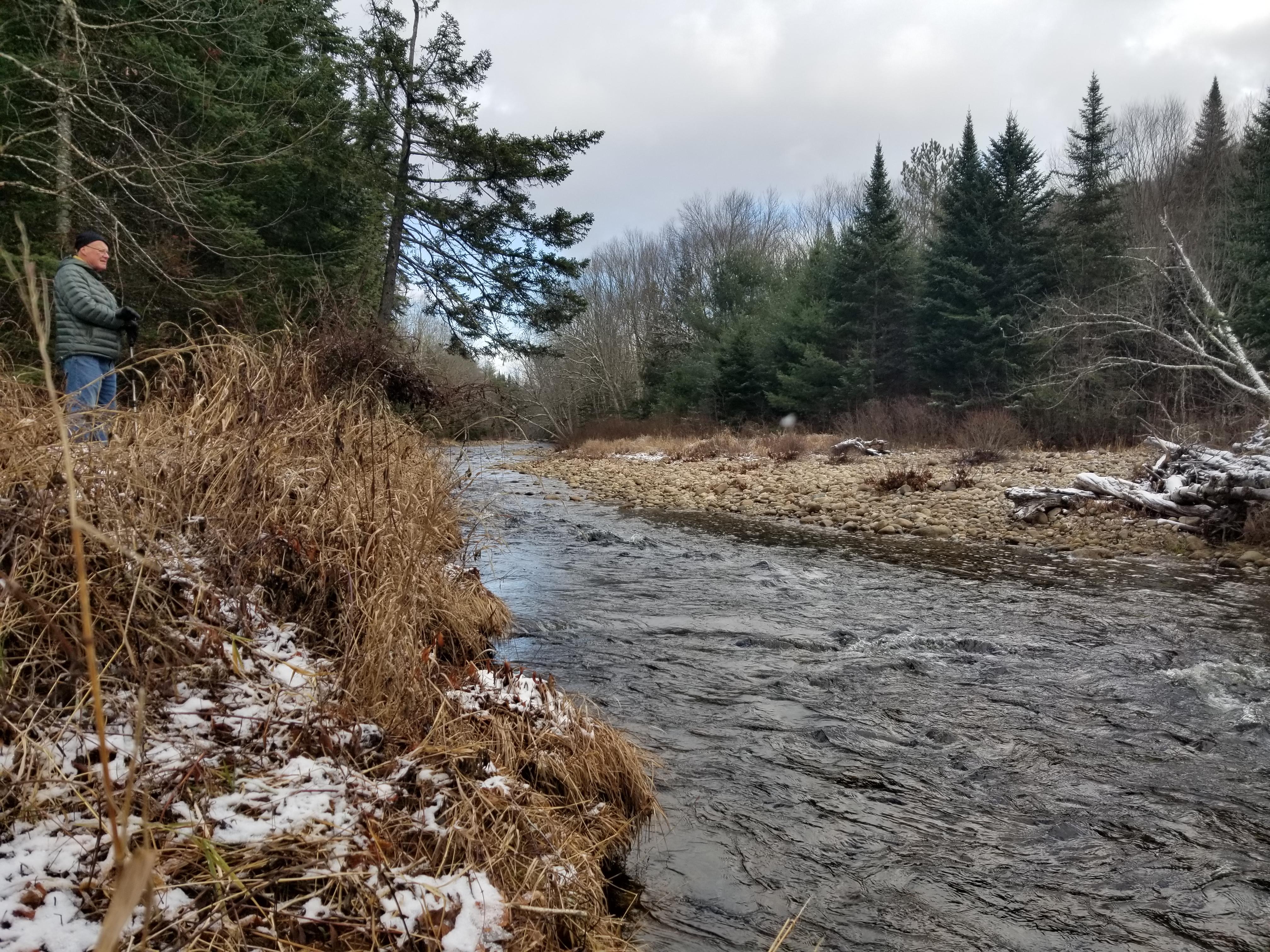 Protected forests along Gale River.