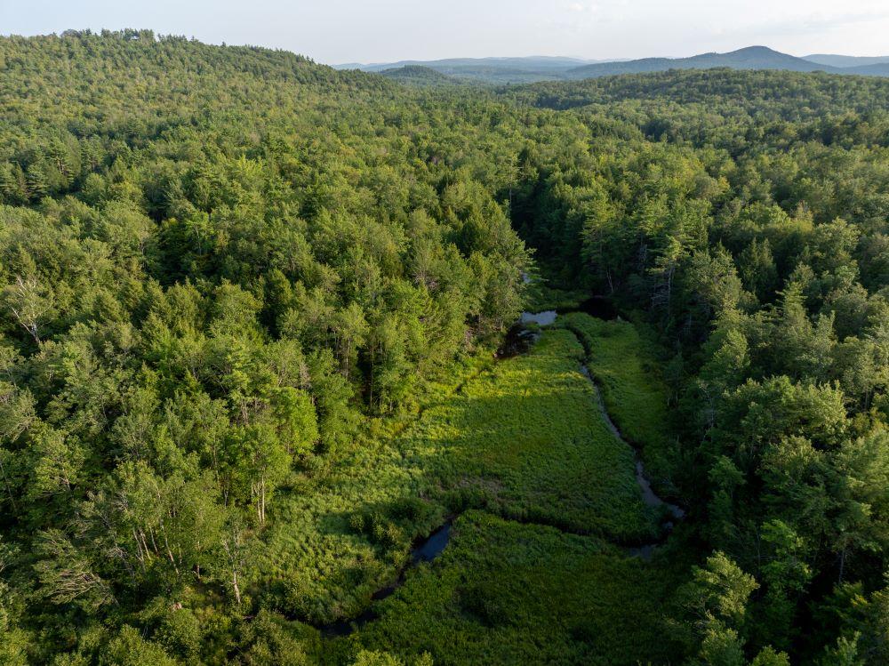 Rydstrom Family Forest
