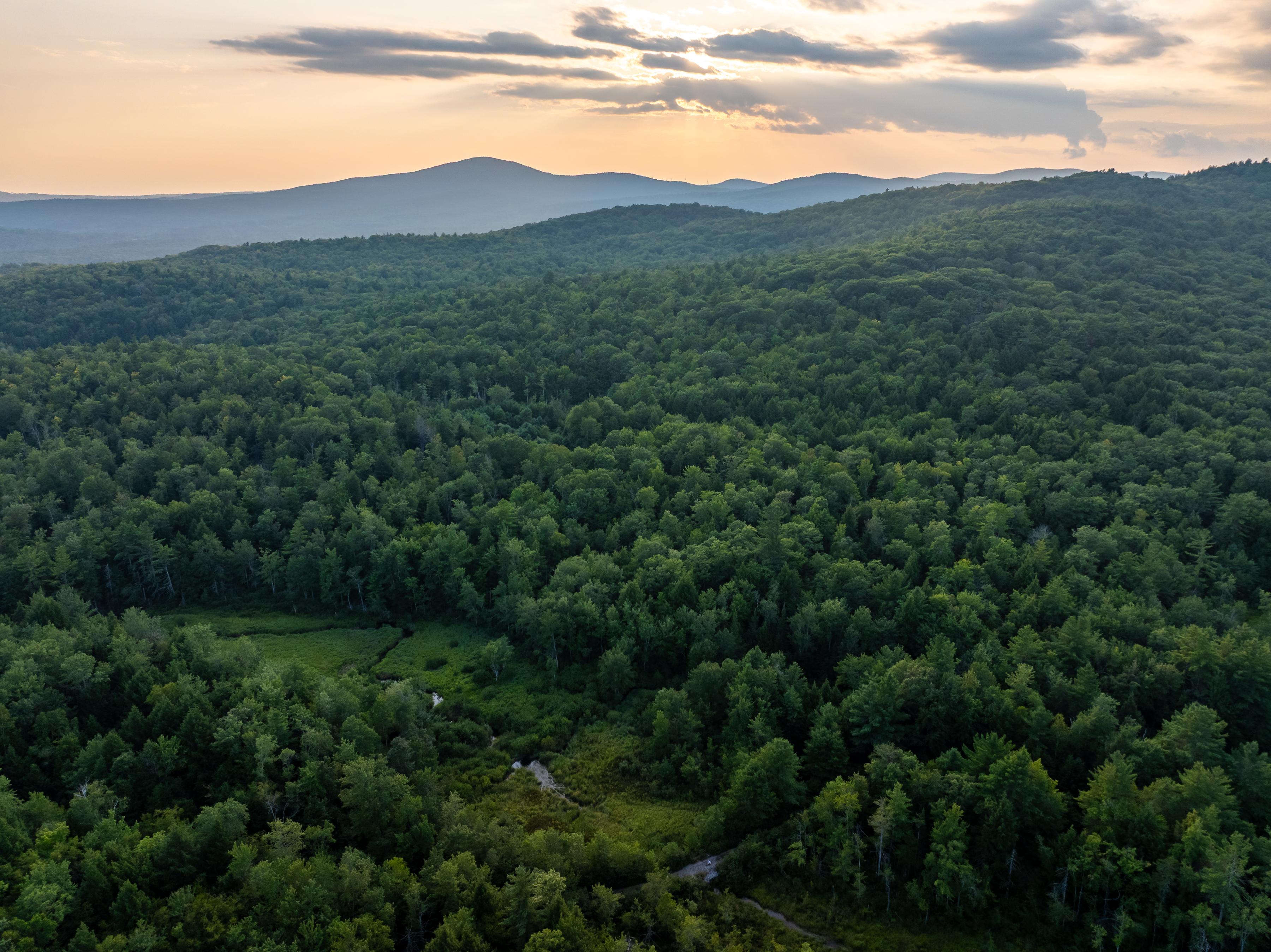 Rydstrom Family Forest