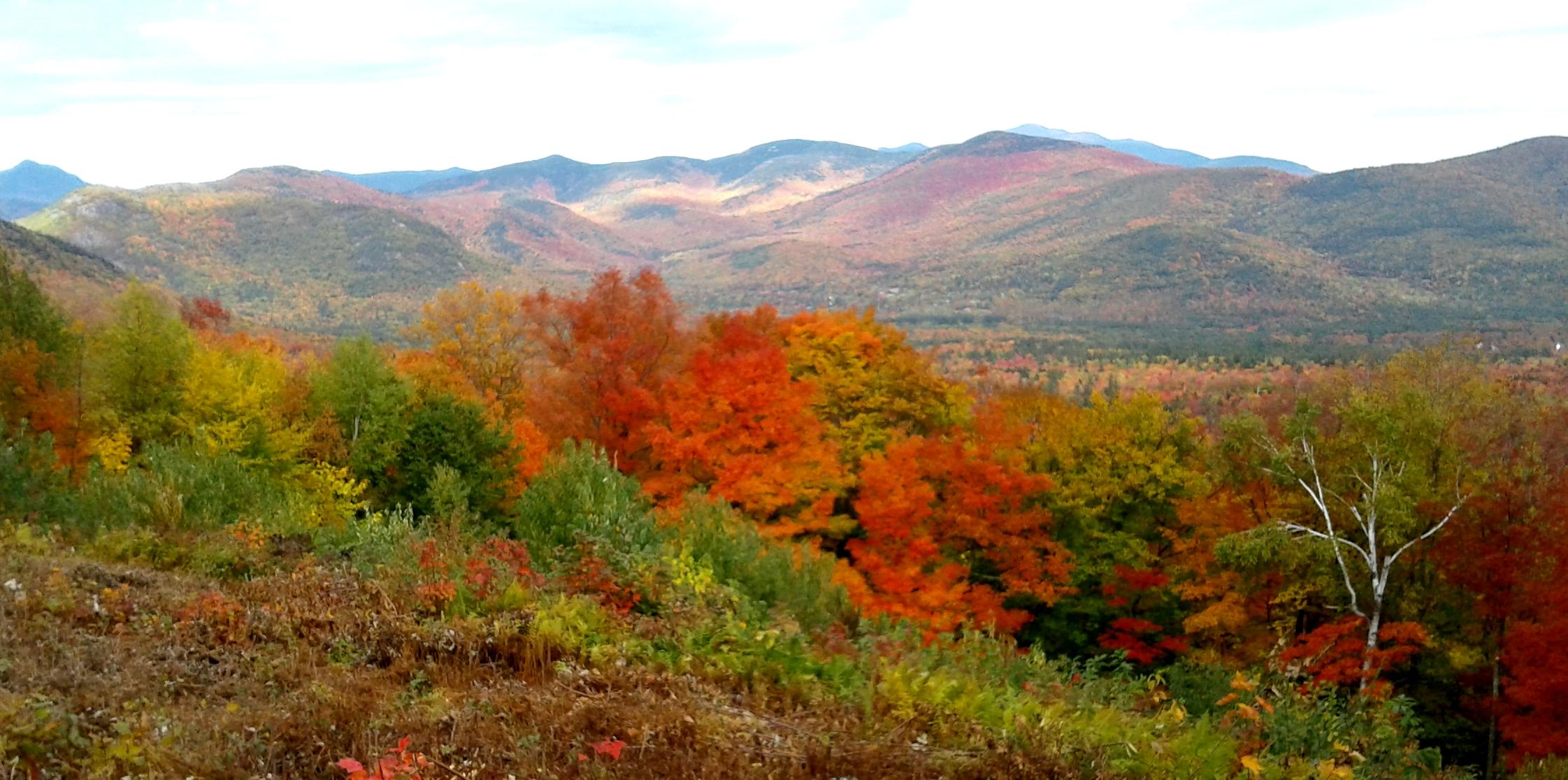 Glenn Coppelman photo fall scene