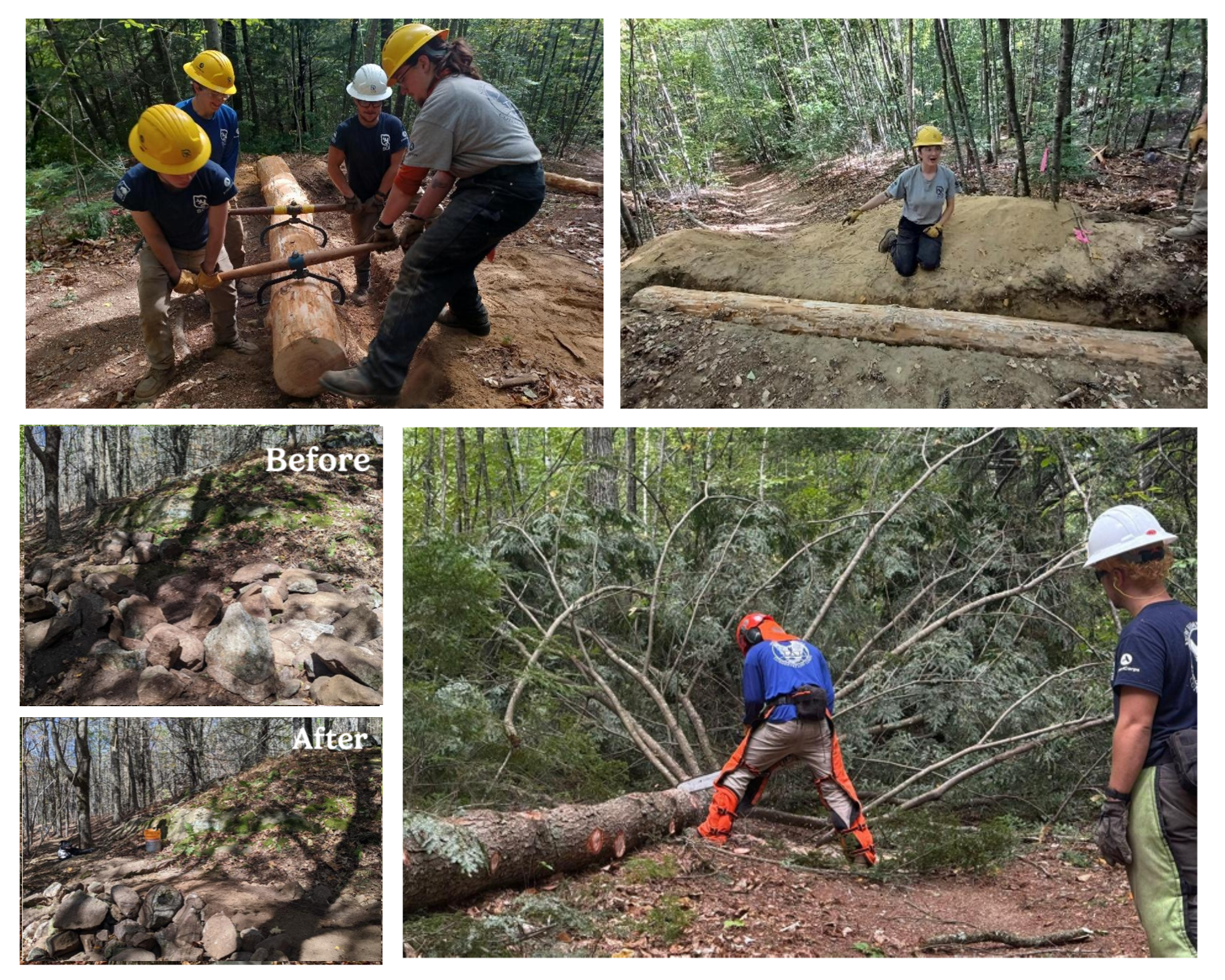  Crews from The Student Conservation Association and The Appalachian Mountain Club working on projects at Bean Forest and Gap Mountain