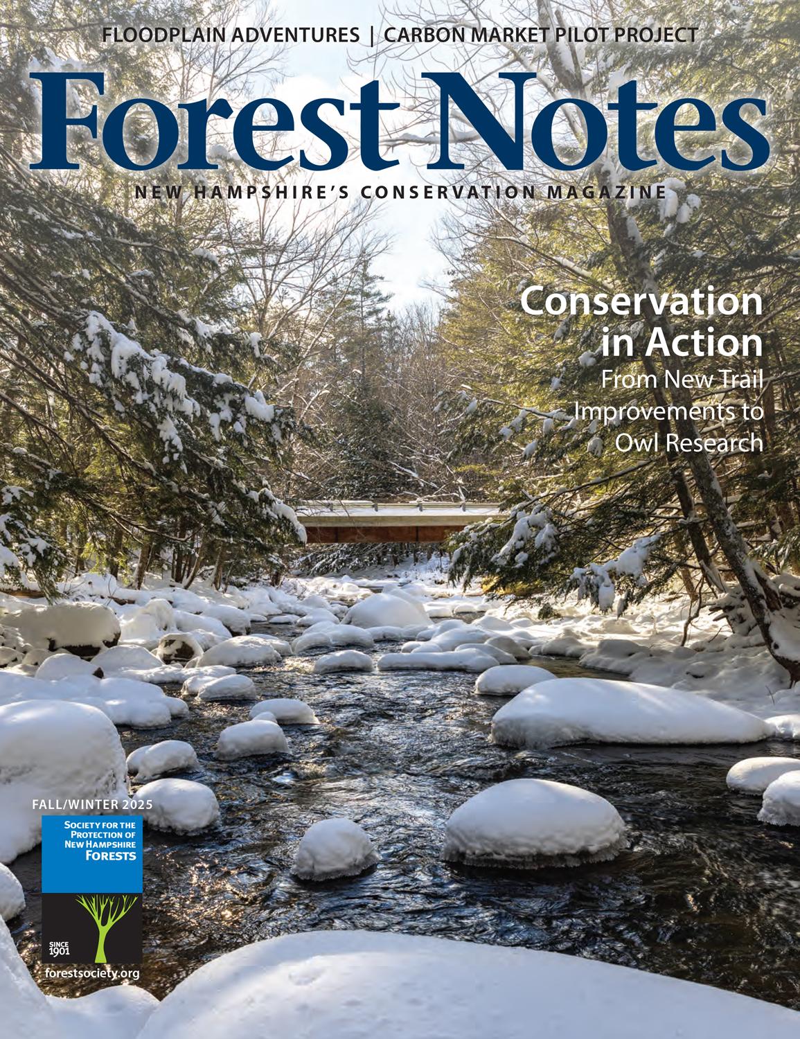 Forest Notes, Fall 2025