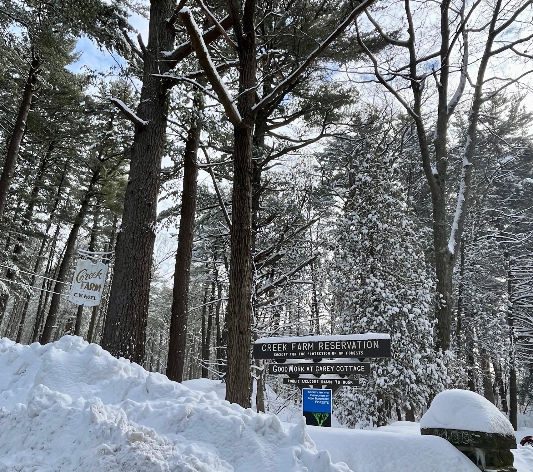 Creek Farm entrance in winter